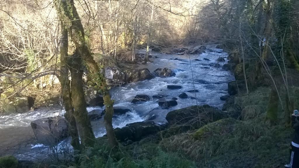 Camping Des Ribieres Confolens Luaran gambar