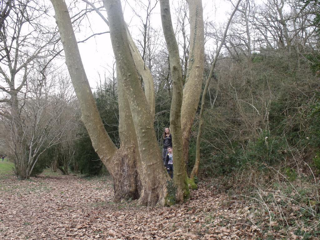 Camping Des Ribieres Confolens Luaran gambar